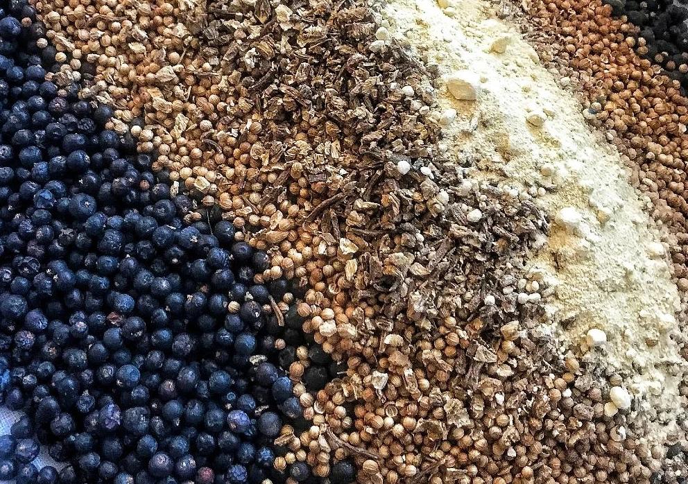 Frequently Asked Questions About Gin